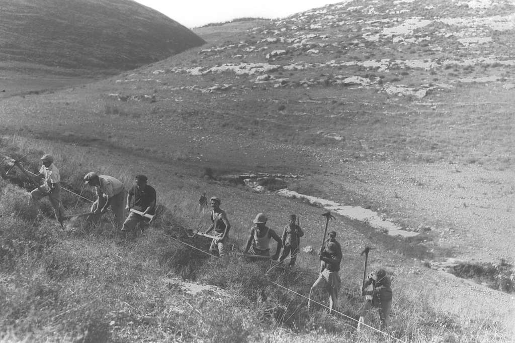 Members of Kibbutz 'ein hashofet' preparing the soil for the planting of trees